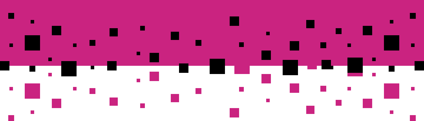 pixel section